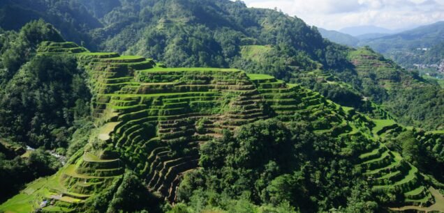 Ooty