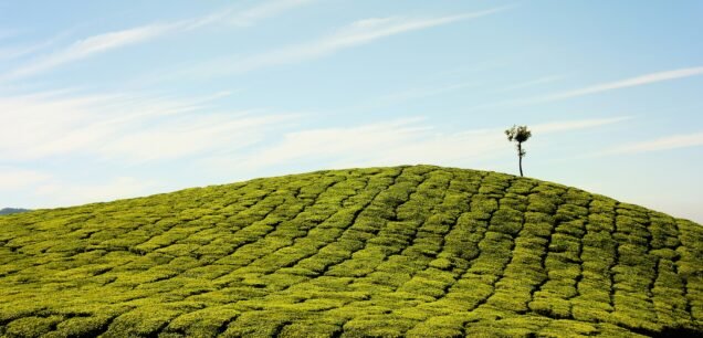 Munnar